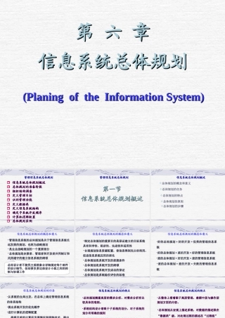 信息系统总体规划