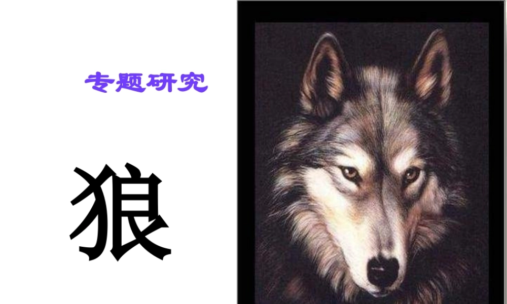 《狼》的专题研究