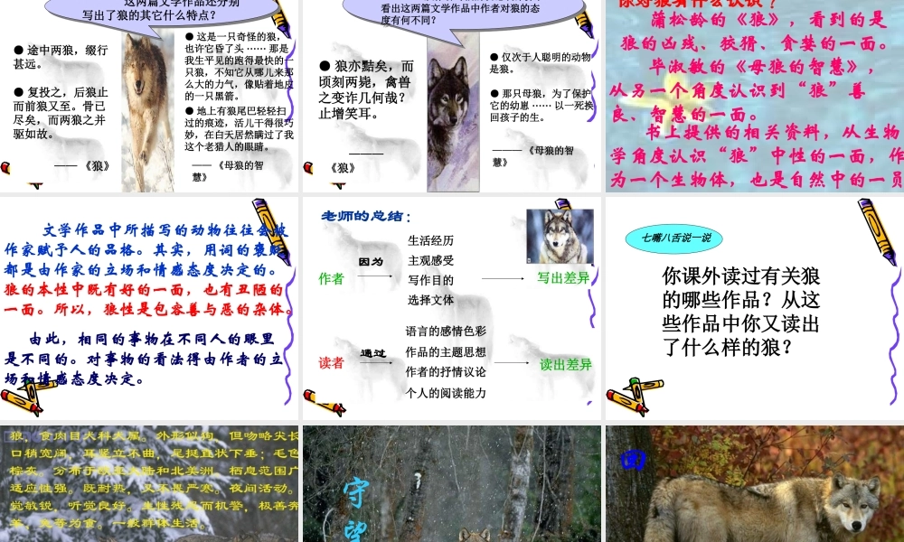 《狼》的专题研究