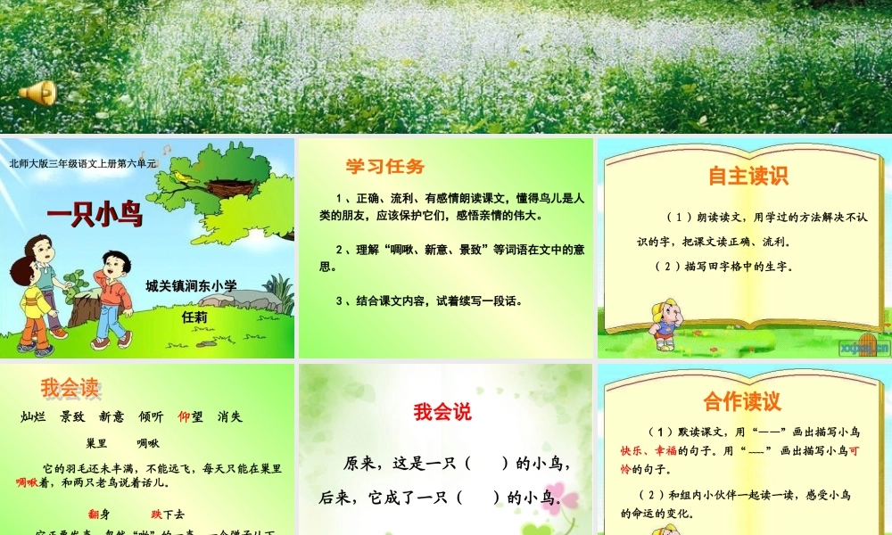 《一只小鸟》