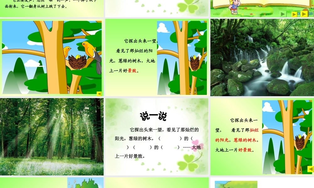 《一只小鸟》