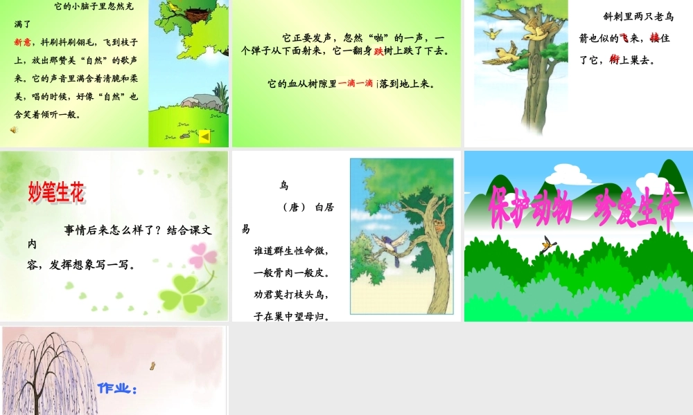 《一只小鸟》