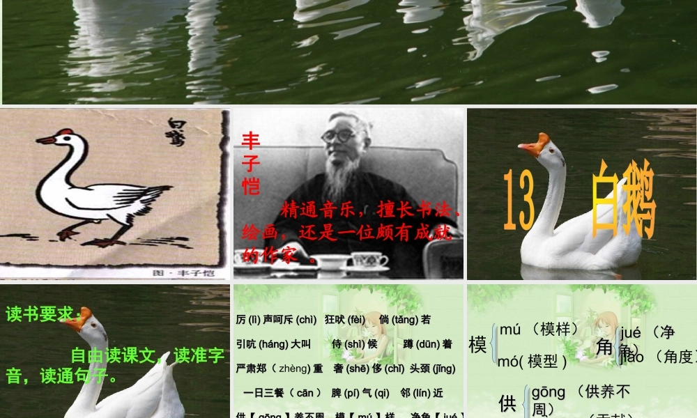 【课件】白鹅