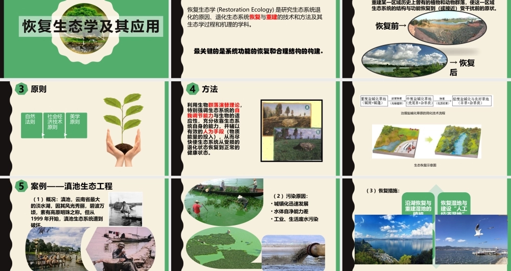 科学·技术·社会-恢复生态学及其应用-(3)