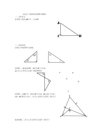 11.2.1-三角形的内角学案(第2课时)