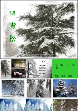 演示文稿1-(5)