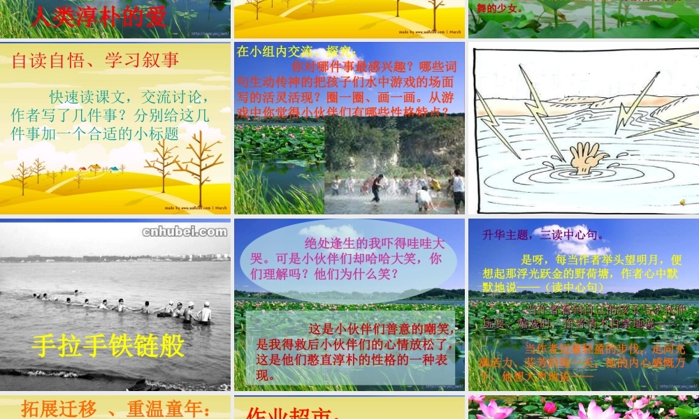 六年级语文荷塘旧事课件