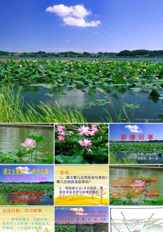 六年级语文荷塘旧事课件