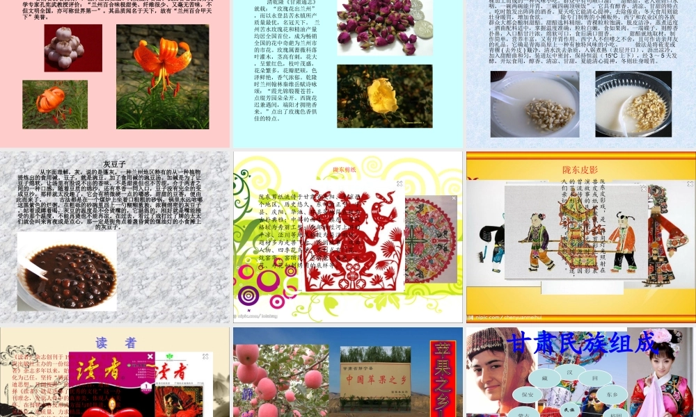 我的家乡—甘肃