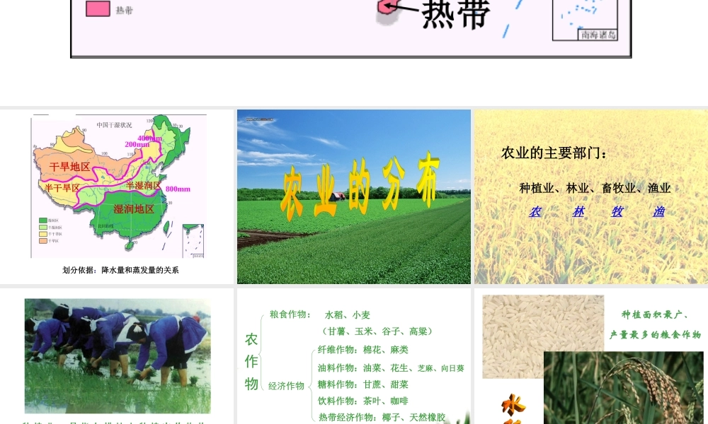 农作物的分布三大林区四大牧区