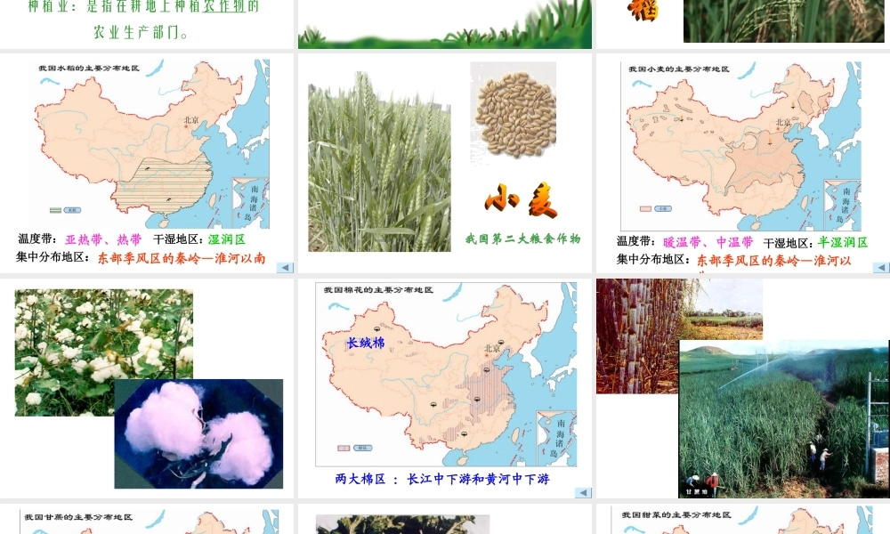 农作物的分布三大林区四大牧区
