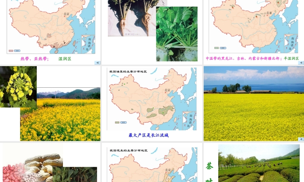 农作物的分布三大林区四大牧区