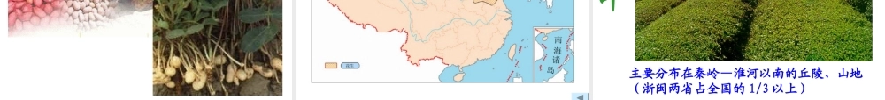 农作物的分布三大林区四大牧区