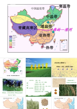 农作物的分布三大林区四大牧区