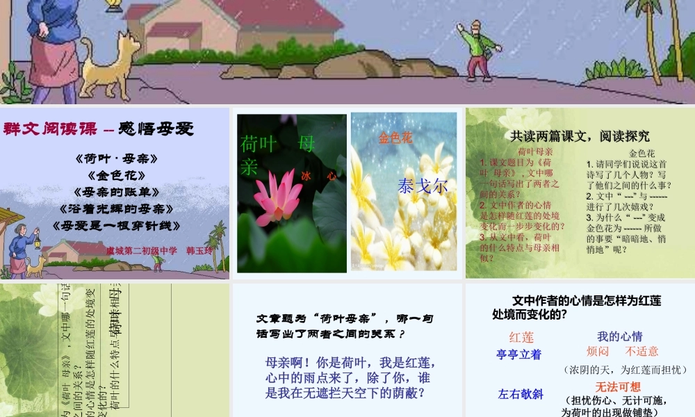 (部编)初中语文人教2011课标版七年级上册感悟母爱