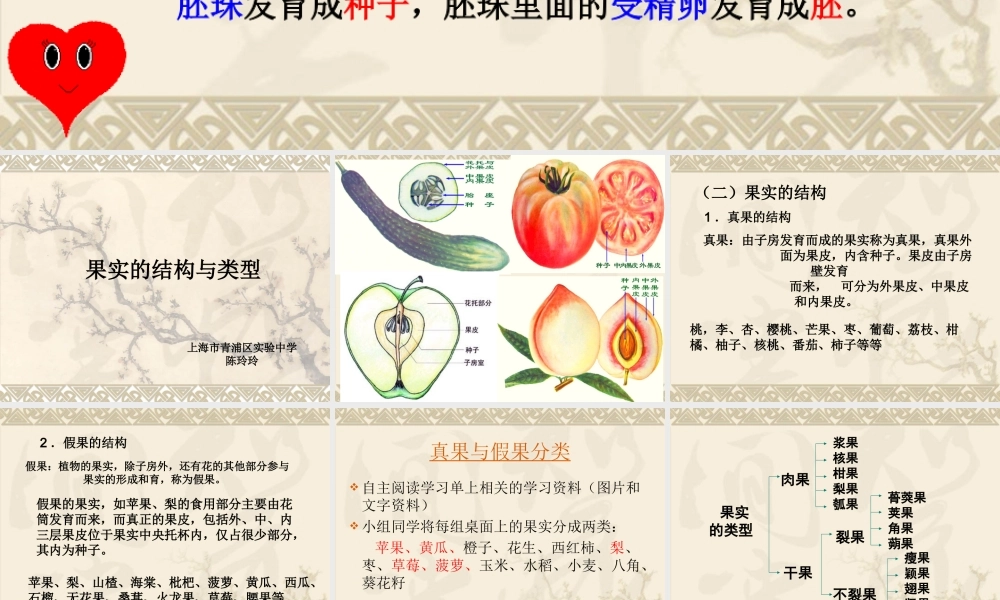 果实的结构与类型