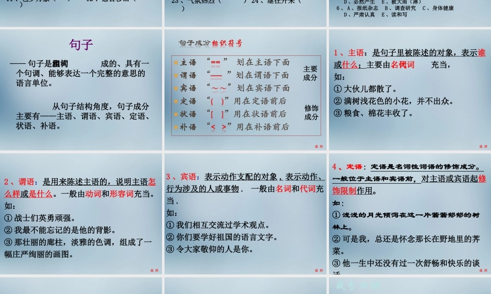 高考语文语文语法基础复习课件