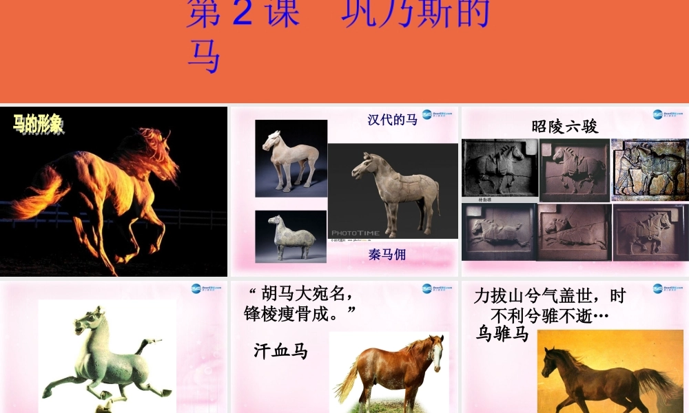 高中语文 第2课(巩乃斯的马)课件 粤教版必修3 课件