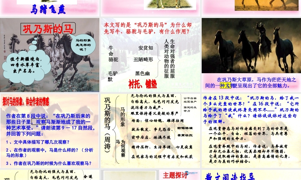 高中语文 第2课(巩乃斯的马)课件 粤教版必修3 课件