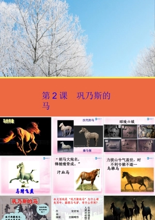 高中语文 第2课(巩乃斯的马)课件 粤教版必修3 课件