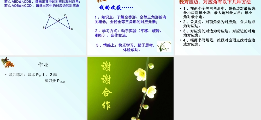 12.1全等三角形(1).1全等三角形(1)