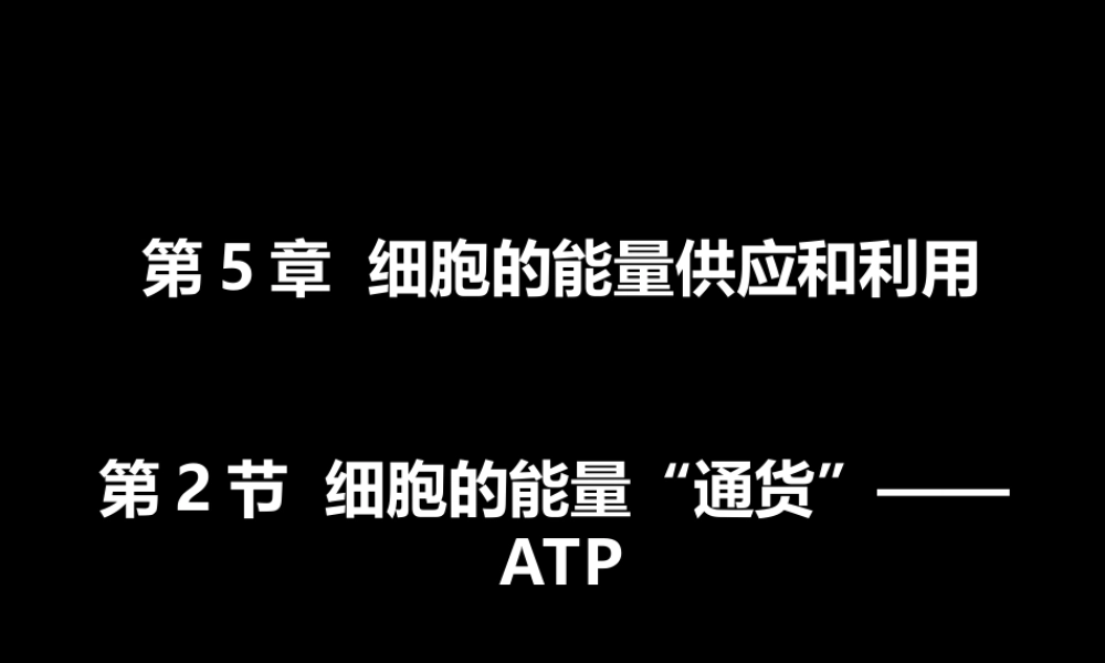 2015年高一生物课件：第5章-第2节《细胞的能量“通货”——ATP》(人教版必修1)