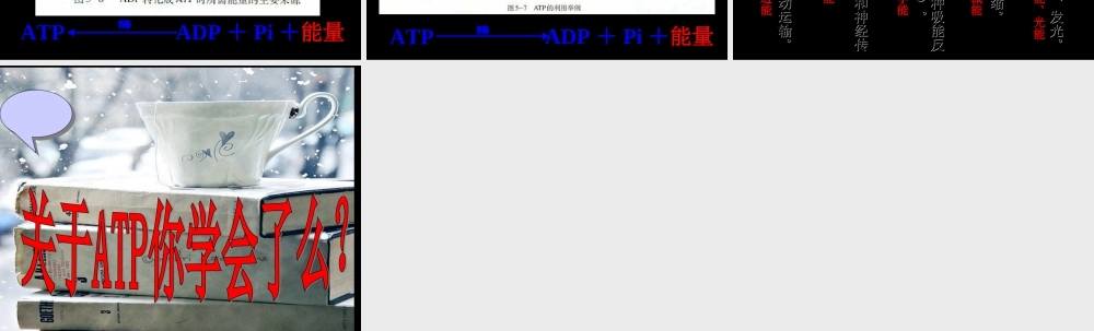 2015年高一生物课件：第5章-第2节《细胞的能量“通货”——ATP》(人教版必修1)