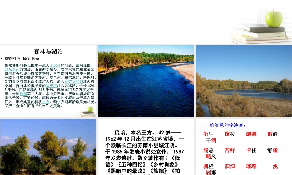 语文 4.3(森林与河流)课件 苏教版选修(现代散文选读) 课件