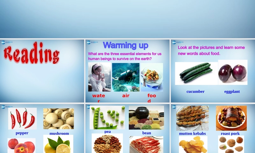 高中英语 Unit2 Reading课件 新人教版必修3 课件