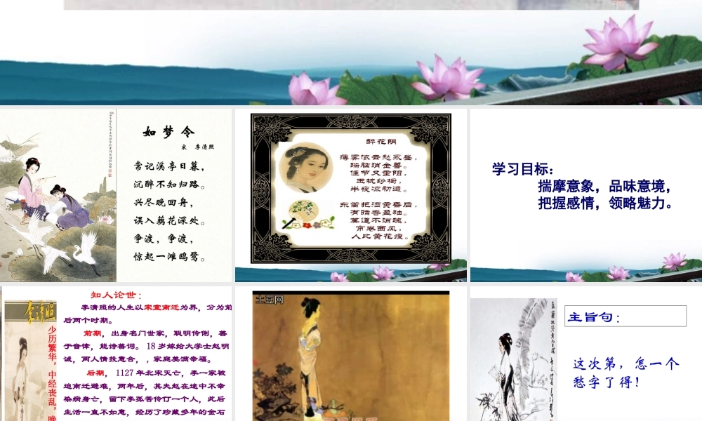 高中语文 (声声慢)精品课件 新人教版必修4 课件