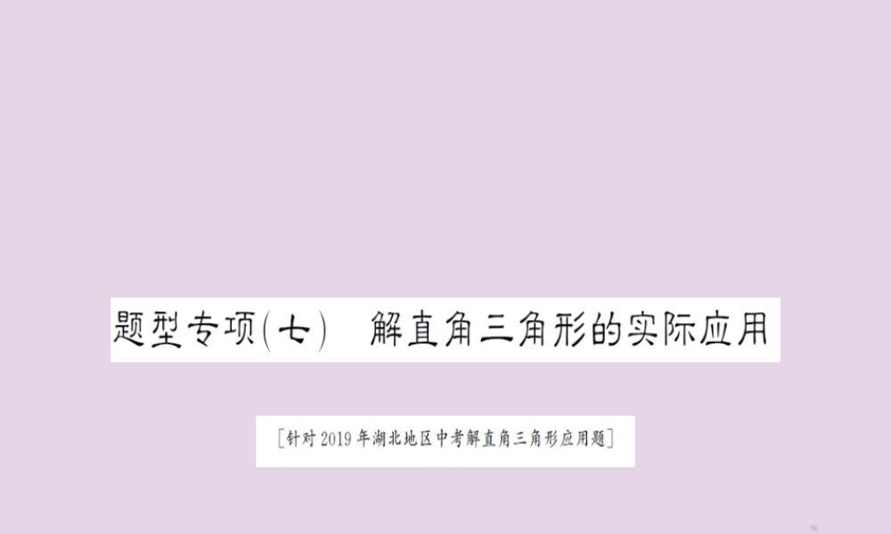 湖北省中考数学二轮复习 中档题题型专项突破(七)课件