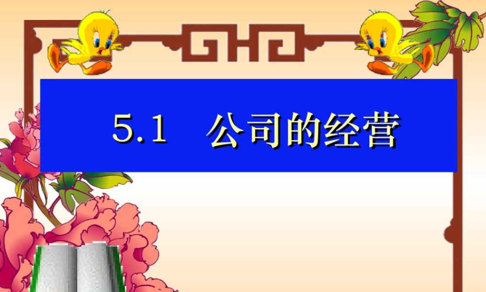 5.1公司的经营和发展彭佳仕