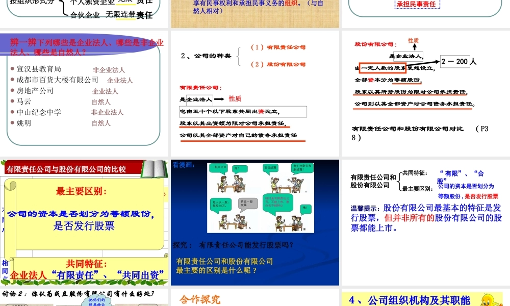 5.1公司的经营和发展彭佳仕