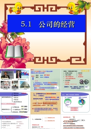 5.1公司的经营和发展彭佳仕