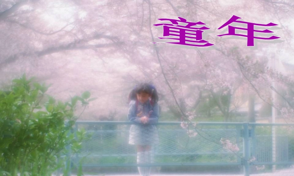 y718《三颗枸杞豆》