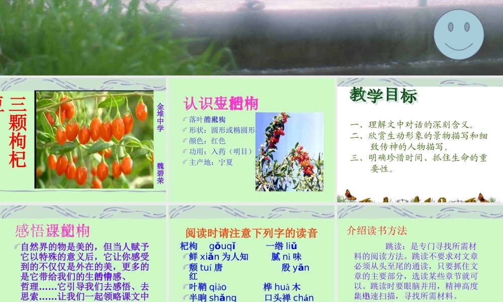 y718《三颗枸杞豆》