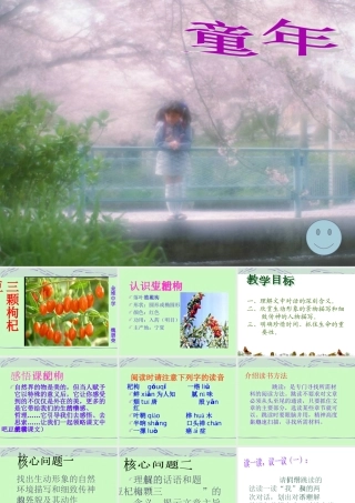 y718《三颗枸杞豆》