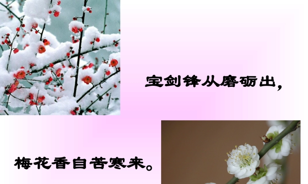 高二语文病梅馆记课件 高二语文病梅馆记课件[含flash] 高二语文病梅馆记课件[含flash]
