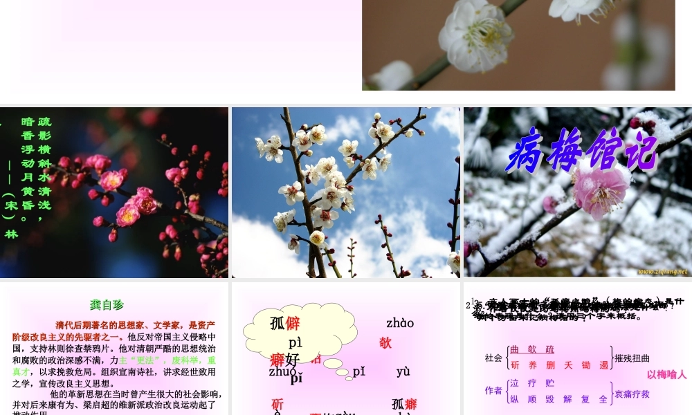 高二语文病梅馆记课件 高二语文病梅馆记课件[含flash] 高二语文病梅馆记课件[含flash]