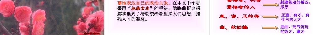 高二语文病梅馆记课件 高二语文病梅馆记课件[含flash] 高二语文病梅馆记课件[含flash]