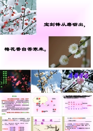 高二语文病梅馆记课件 高二语文病梅馆记课件[含flash] 高二语文病梅馆记课件[含flash]