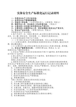 实体安全生产标准化运行记录材料