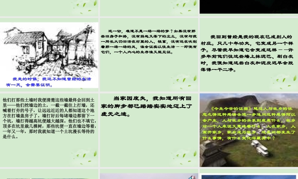 高中语文 322(今生今世的证据)课件(2) 苏教版必修1 课件