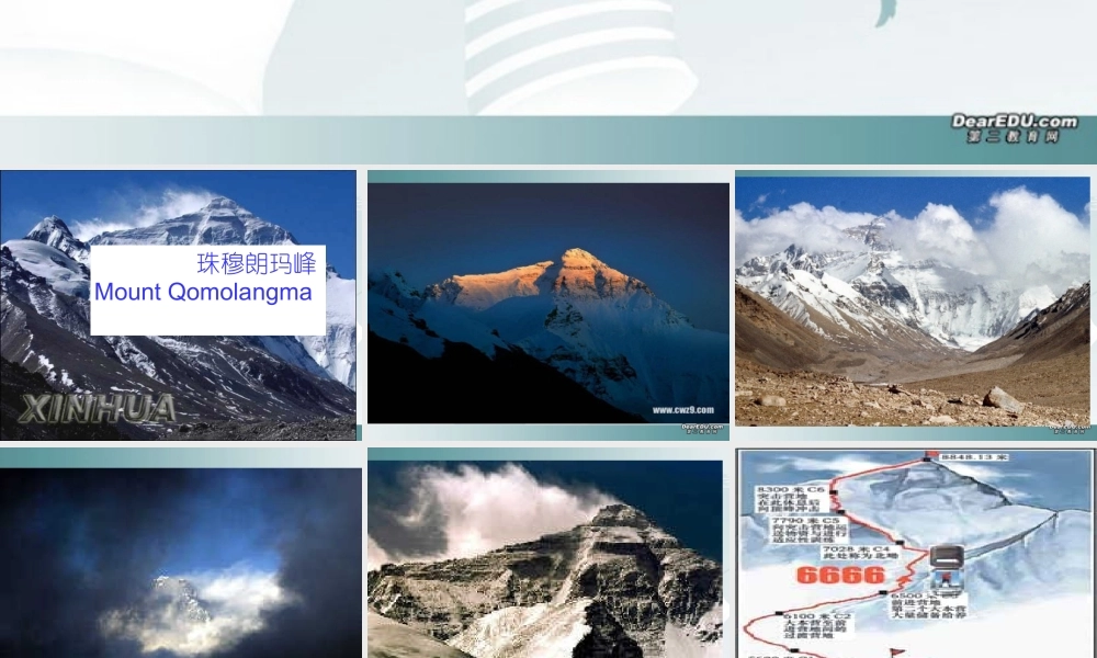 高三英语Unit2 integrating reading课件