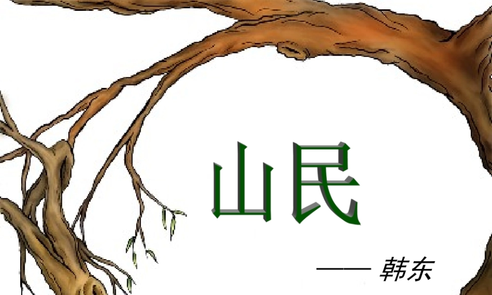 高中语文(中国现代诗歌四首)之(山民)课件