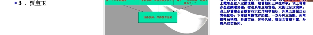 高中语文：11(林黛玉进贾府)课件(新人教版必修3) 课件