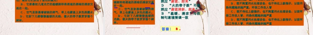 高考语文二轮复习 语言表达简明、连贯、得体、准确、鲜明、生动课件3 课件