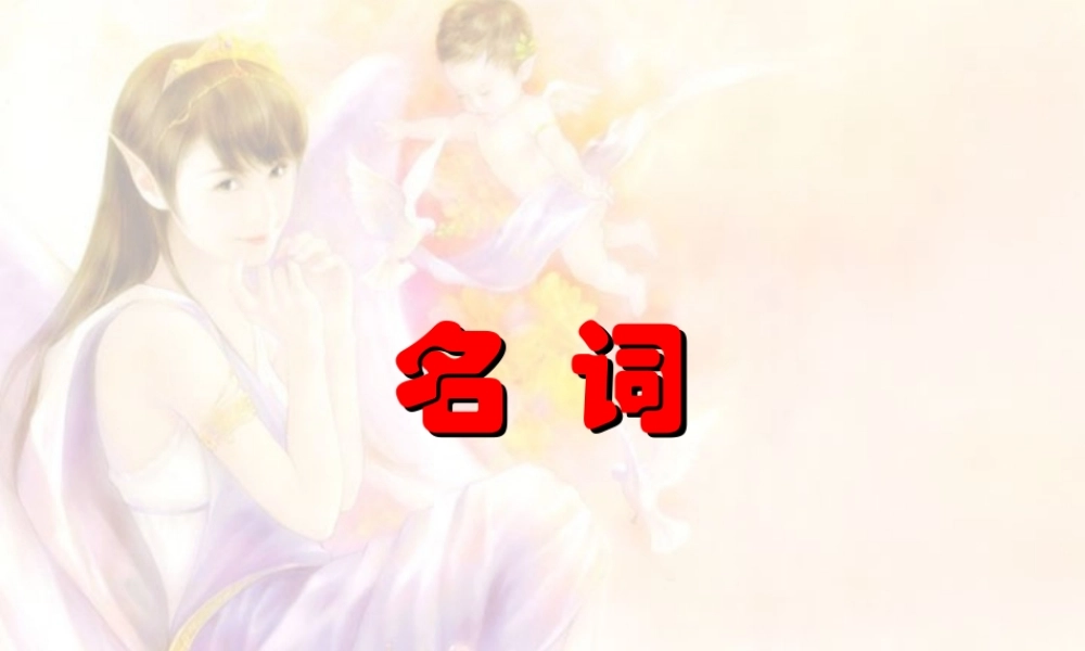 高考英语第二轮语法复习 名词 人教版 试题