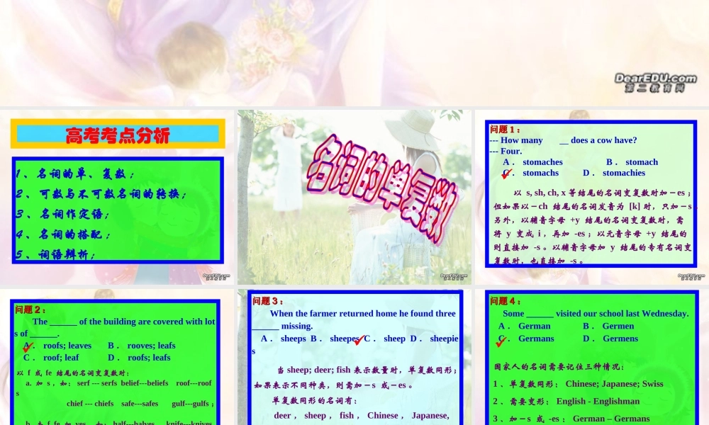 高考英语第二轮语法复习 名词 人教版 试题