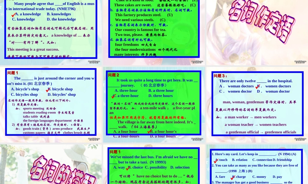 高考英语第二轮语法复习 名词 人教版 试题